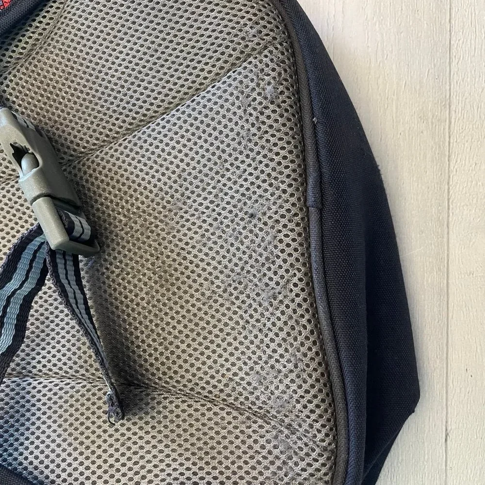 Pottery Barn Kids small dinosaur‎ backpack